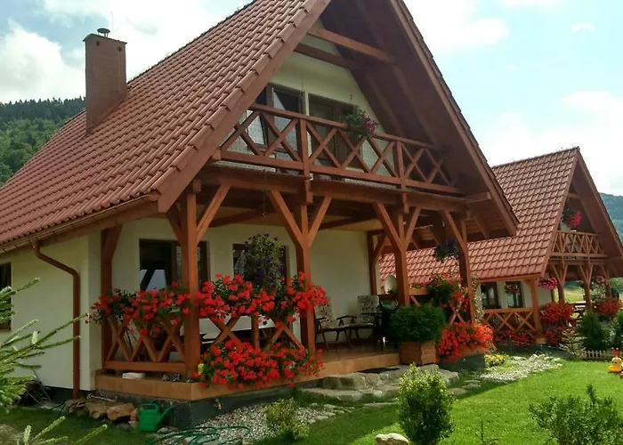 Dzika Stokrotka